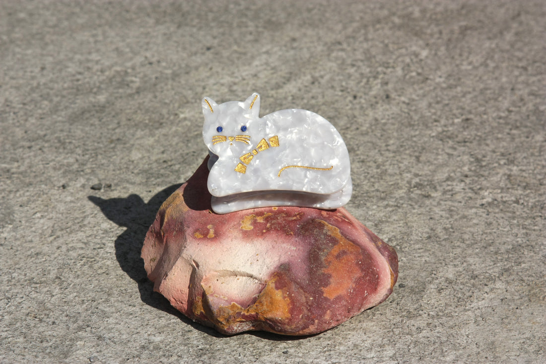 Pince CHAT